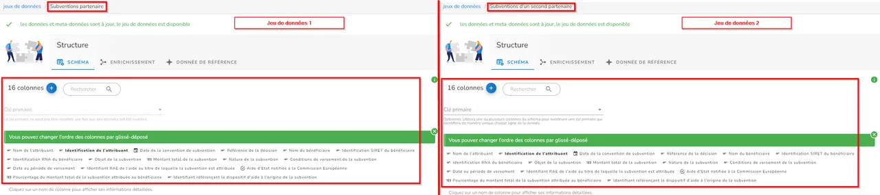 Schémas des jeux de données