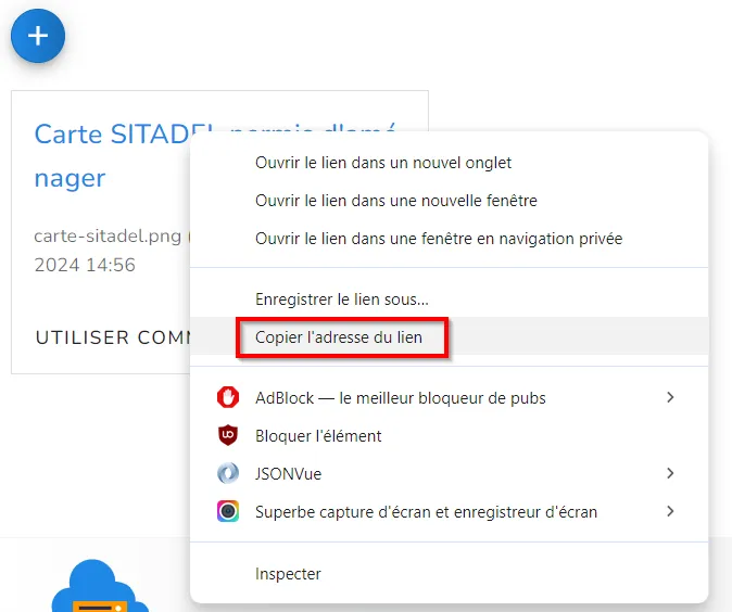 Copiez le lien de l'image