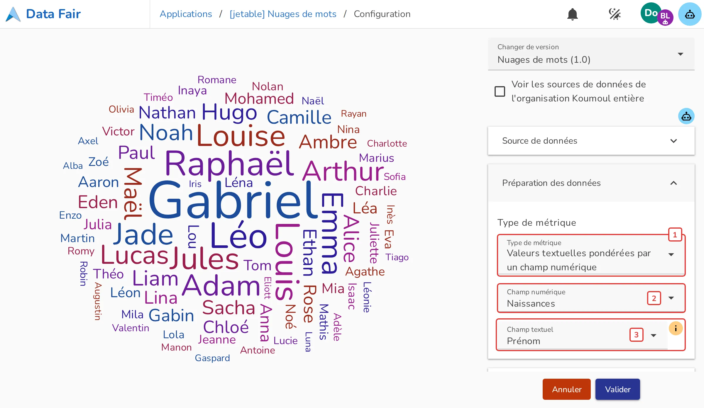 Section Préparation des données de la configuration du Nuage de mots